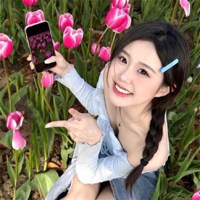 总统的分析