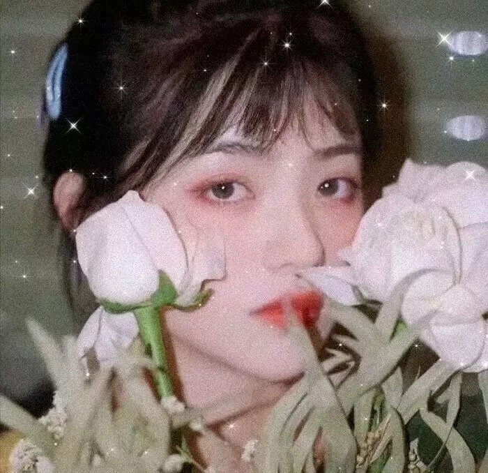 爱出猫