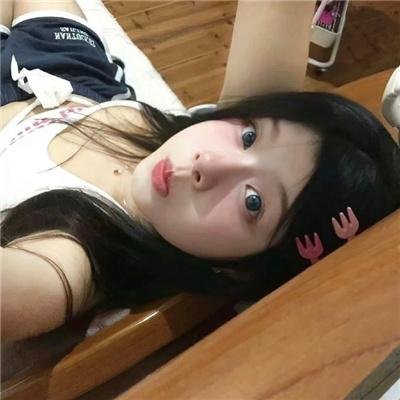 鼠洞里的好朋友